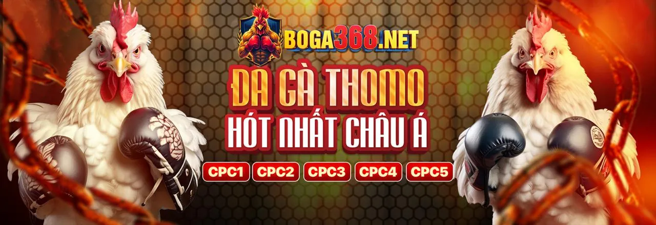 Đá gà trực tiếp kịch tính tại FCB8 Link